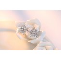 Set Fulg de nea crystal